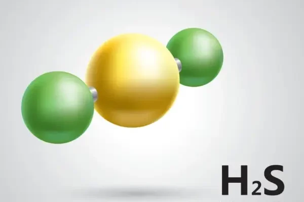 H₂S