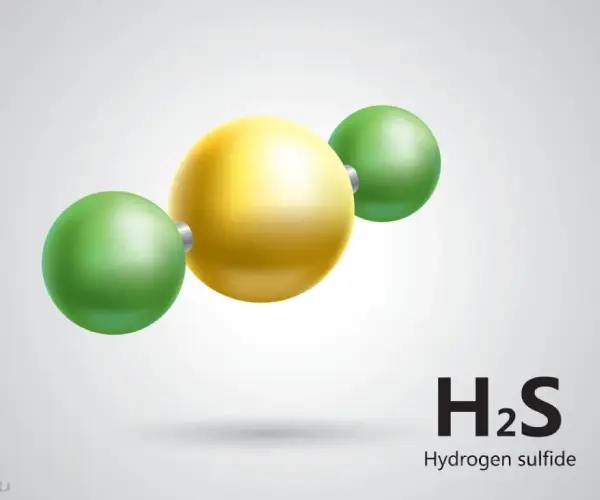 H₂S